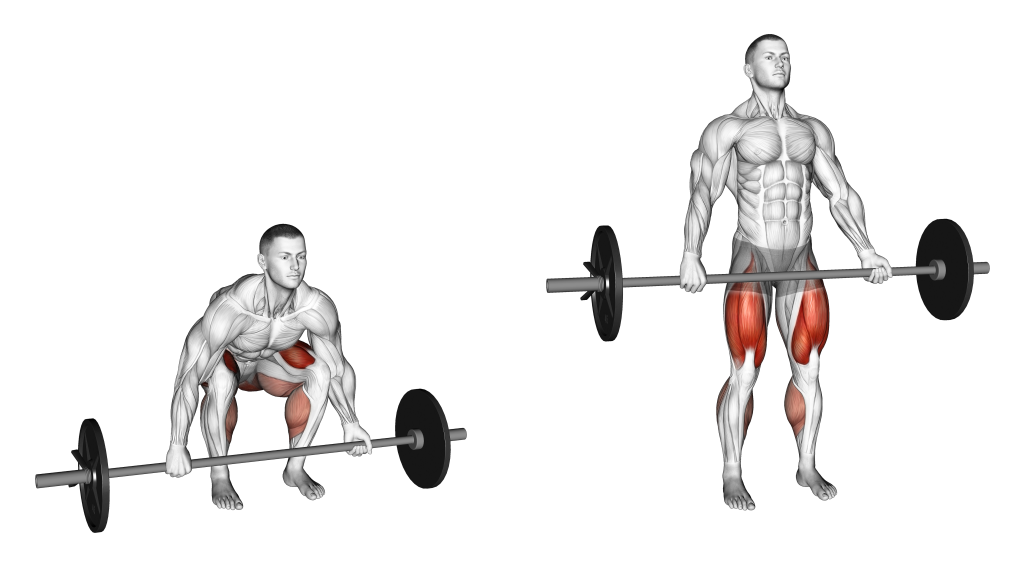 barbell deadlift mixed grip muscles