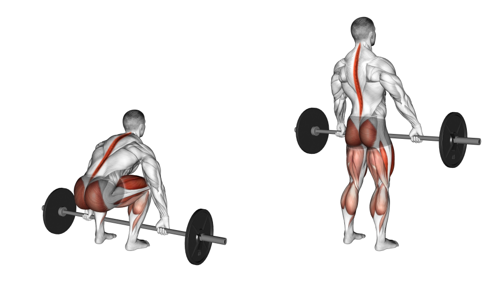 deadlift hook grip muscles