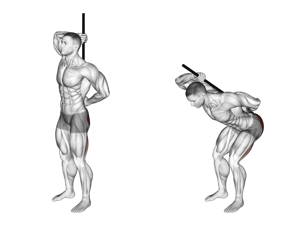 hip hinge