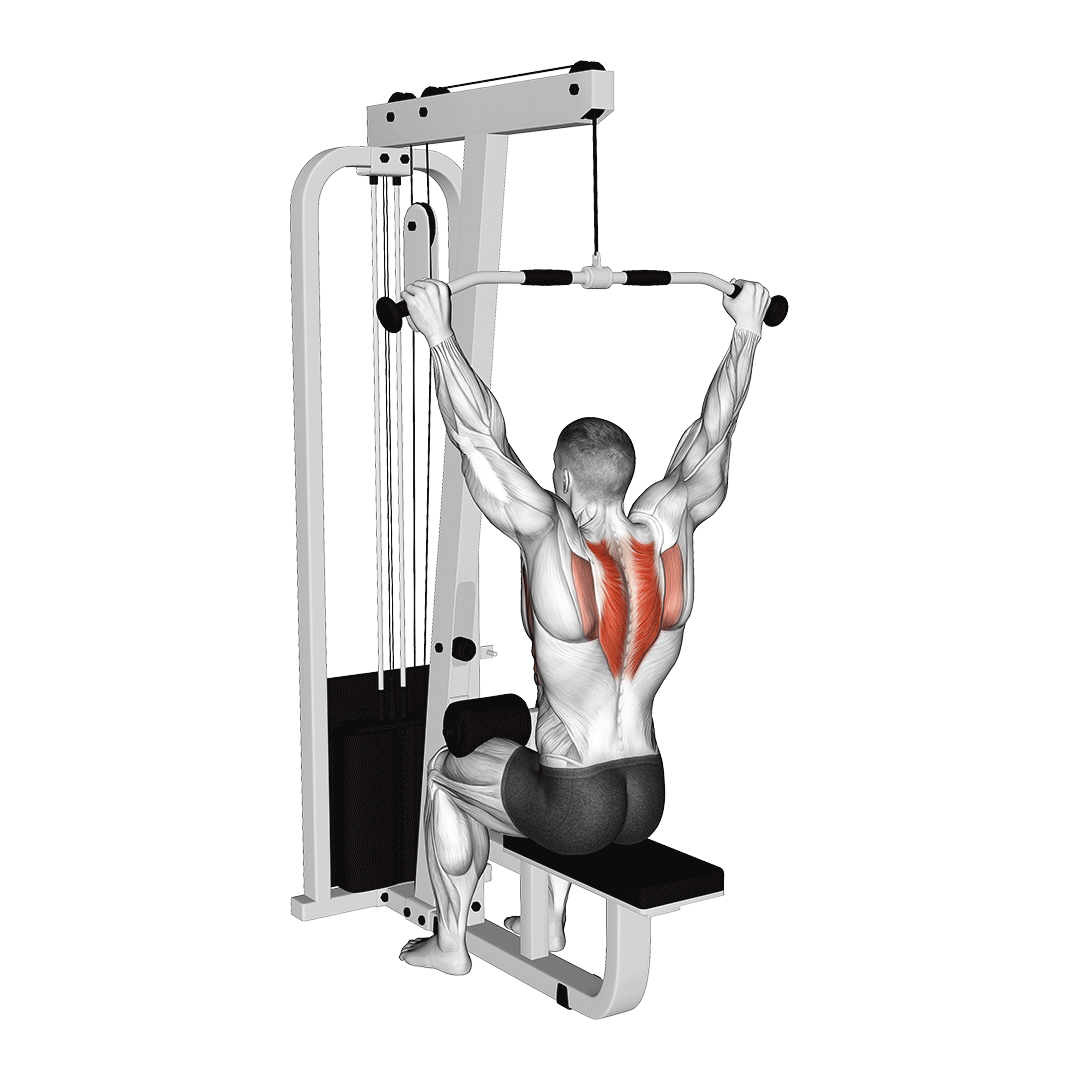 lat pulldown reverse shrug