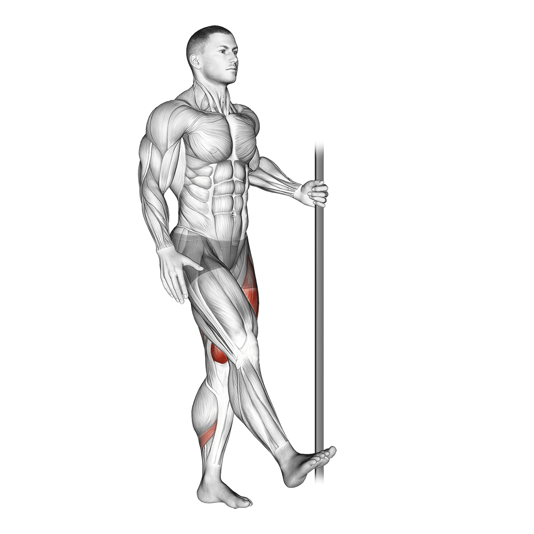pistol squat supported