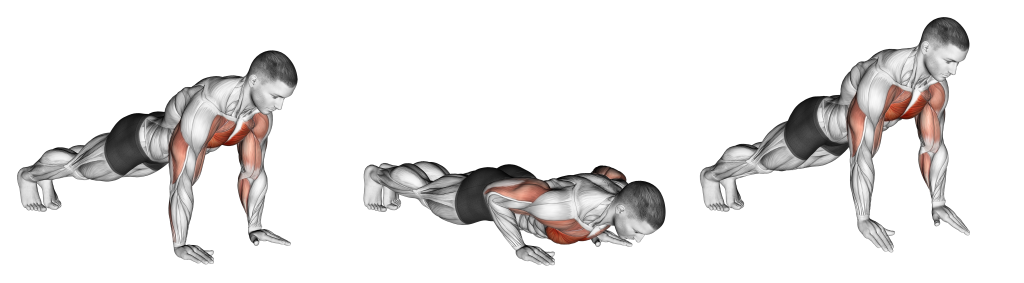 plyo push up muscles
