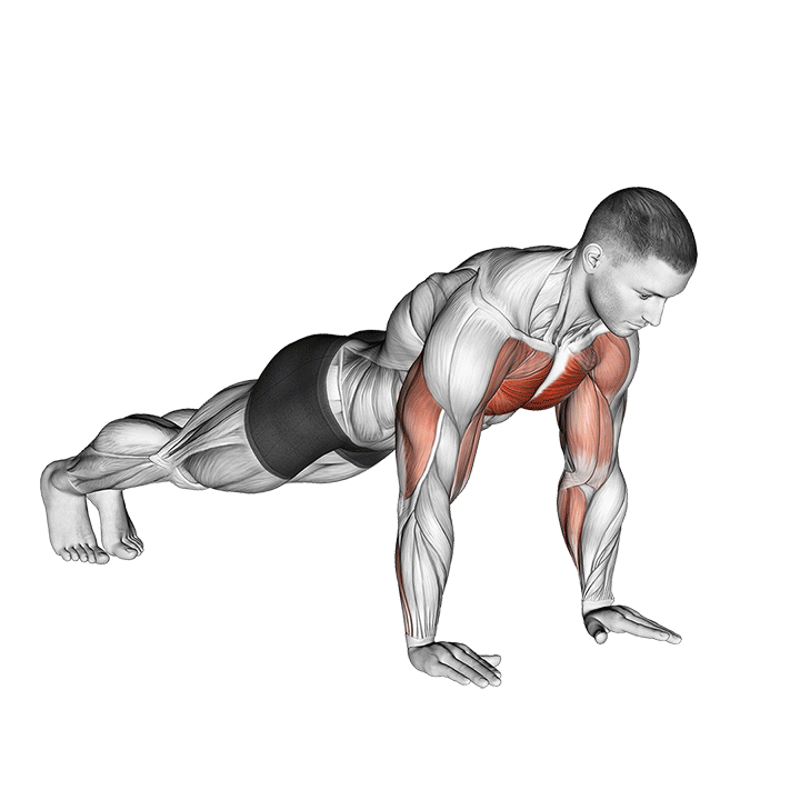 plyometric push ups