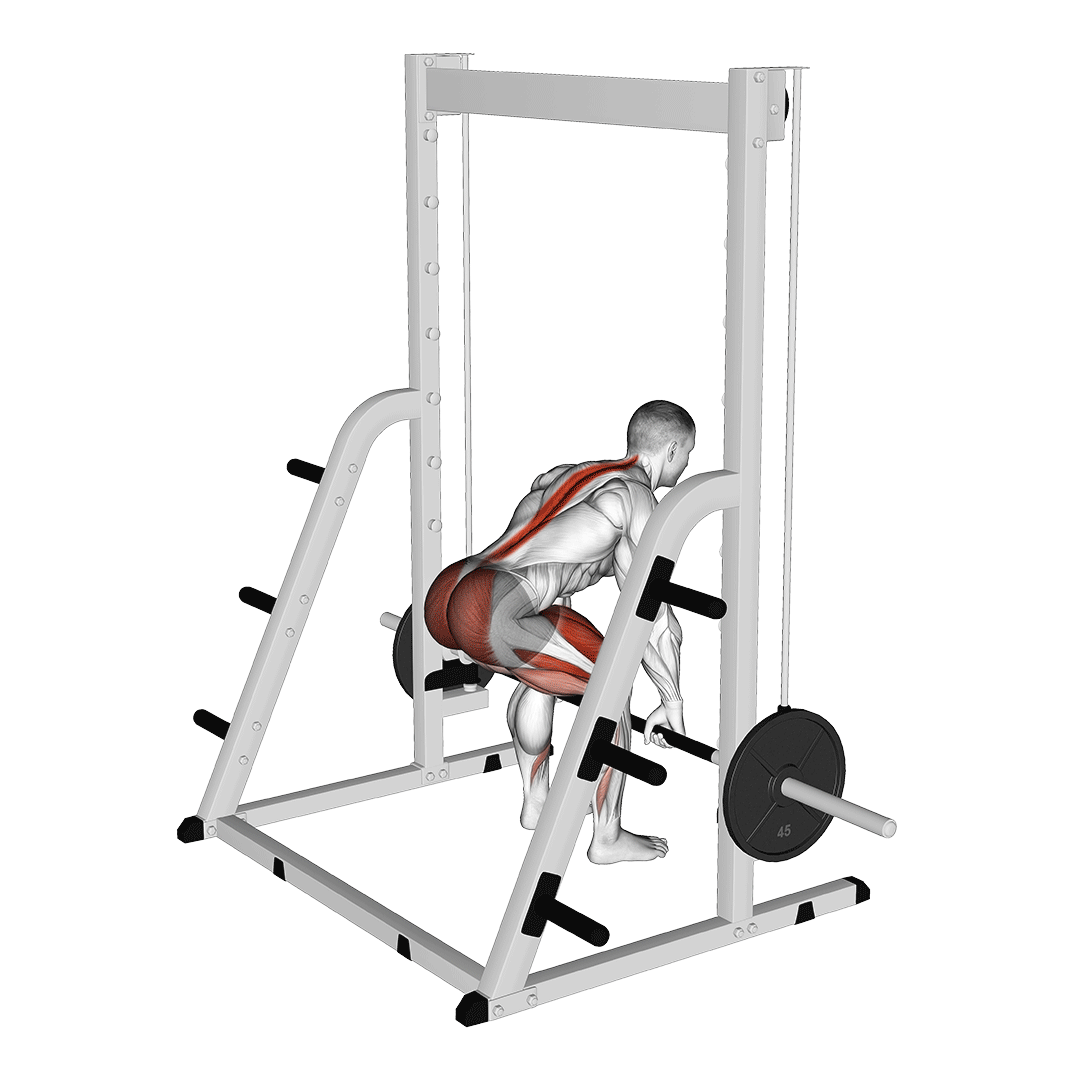 smith machine deadlift