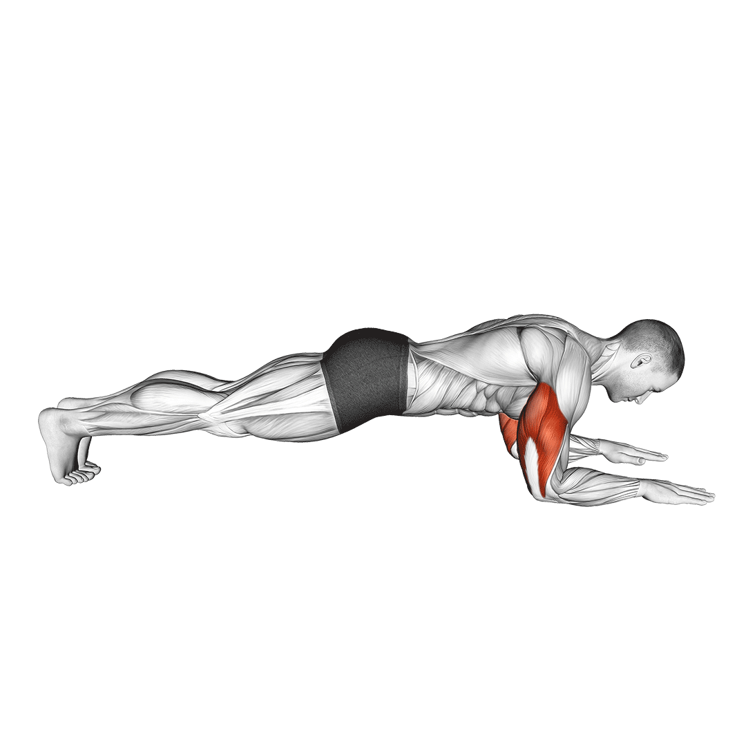 sphinx push up