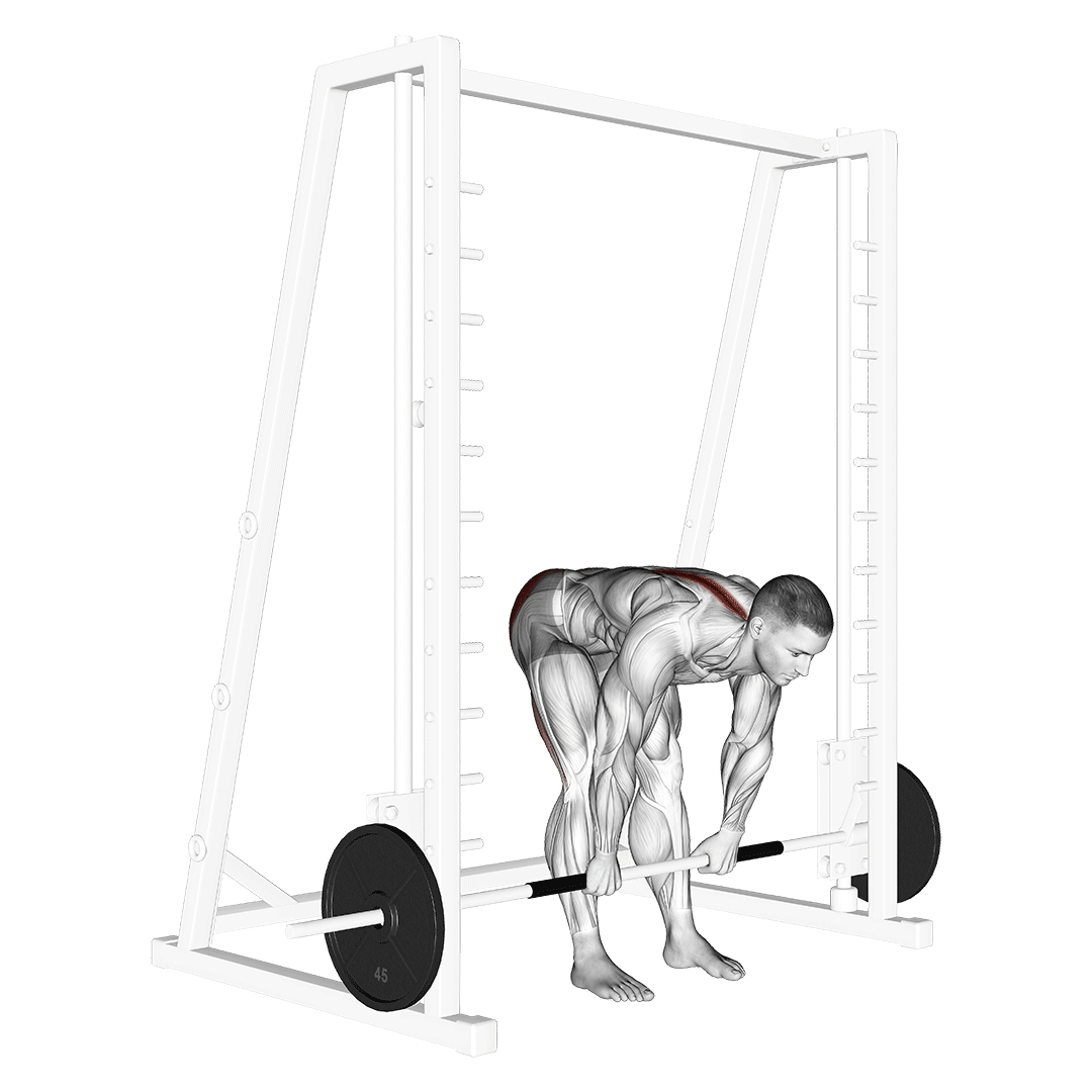 stiff legged smith deadlift