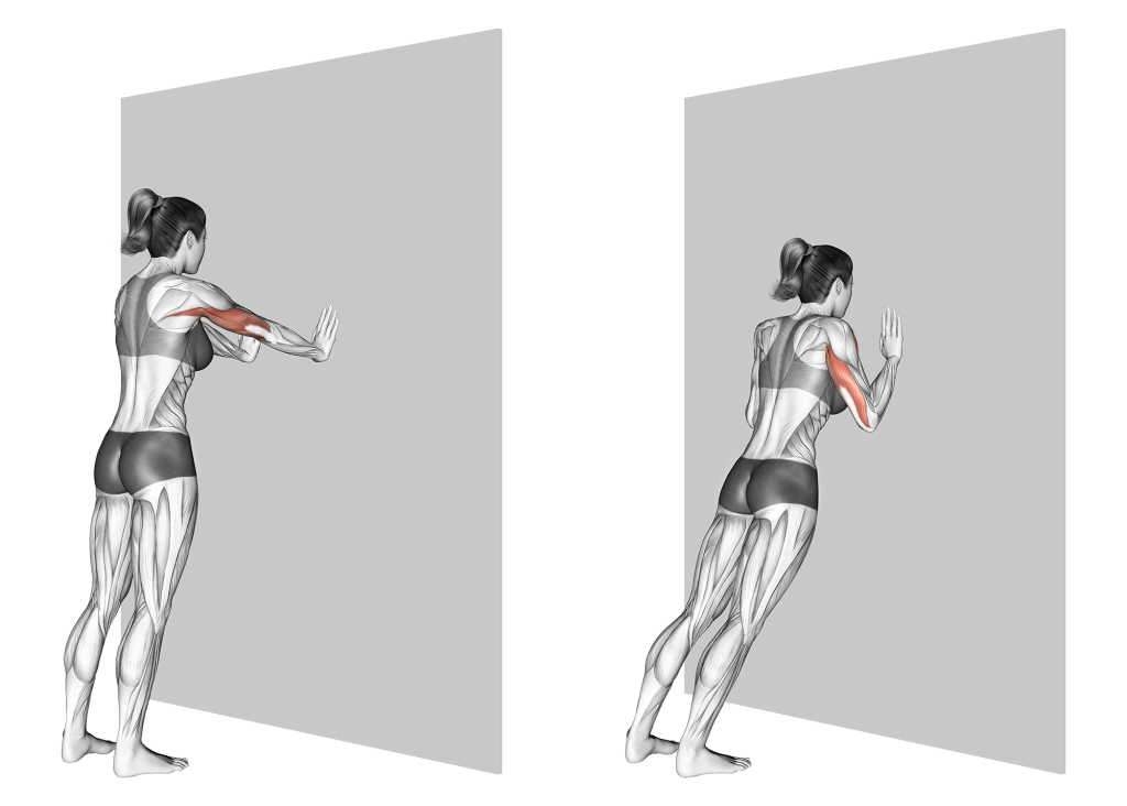 wall push up muscles