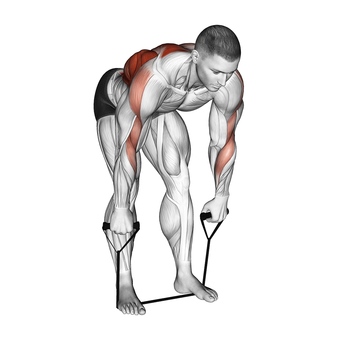 banded wide grip row