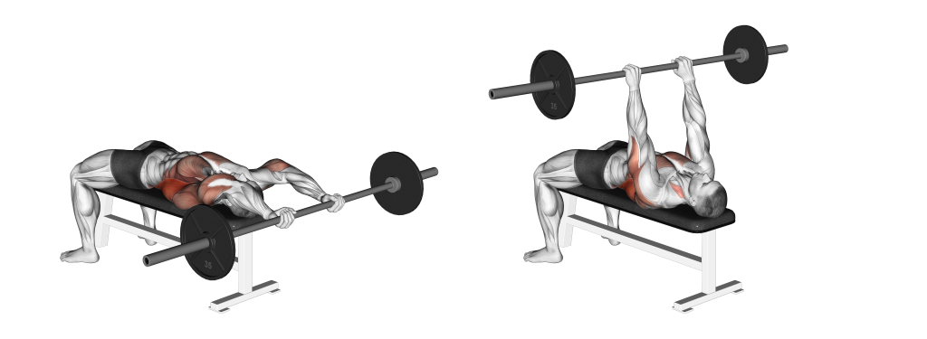 barbell pullover muscles