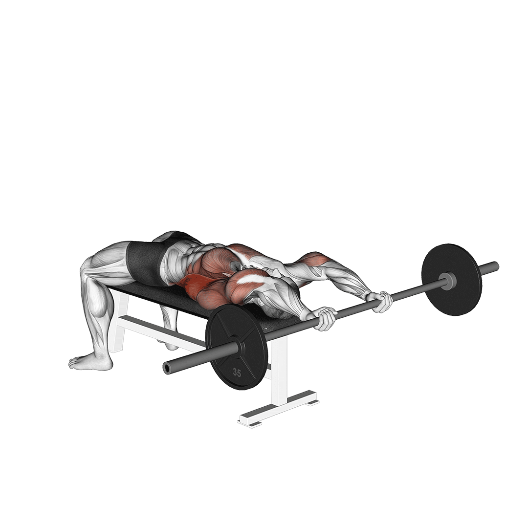 barbell pullover