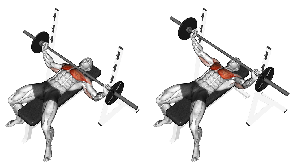 barbell wide grip bench press muscles
