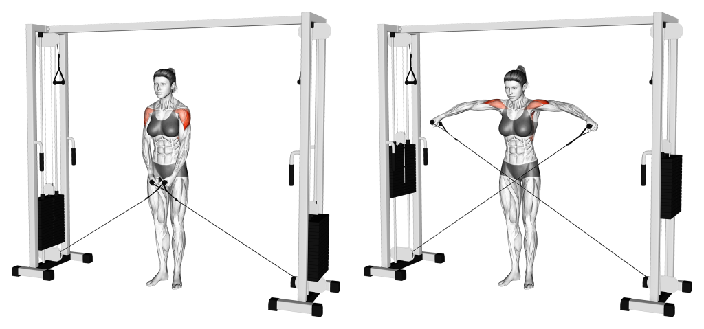 cable lateral raise muscles