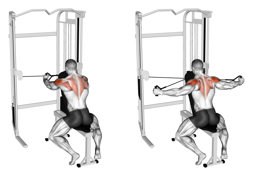 cable seated rear delt fly
