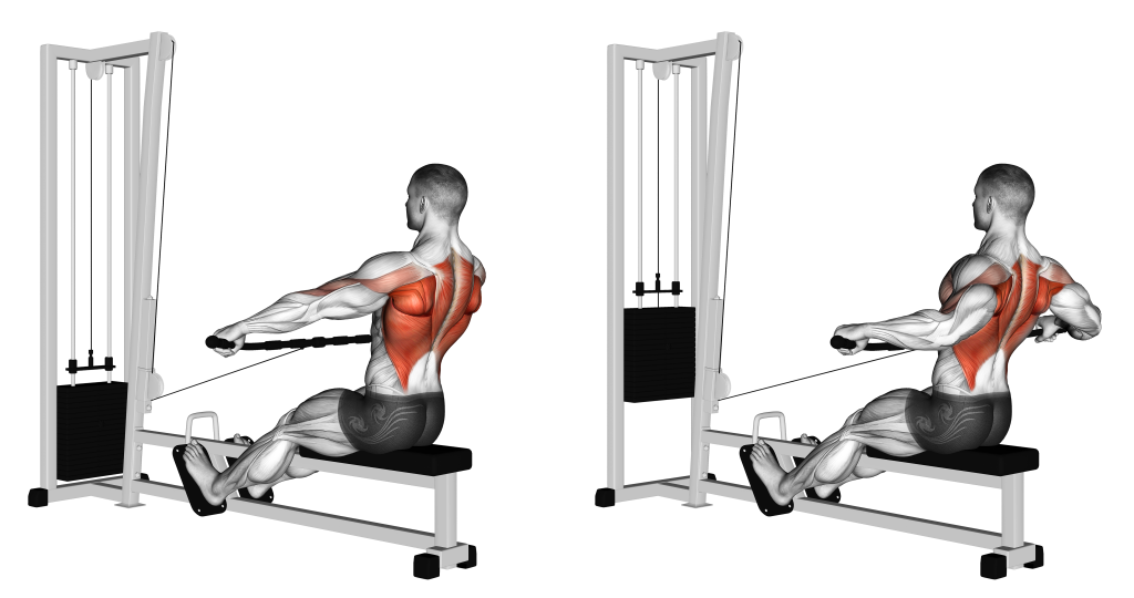 cabled seated wide grip row