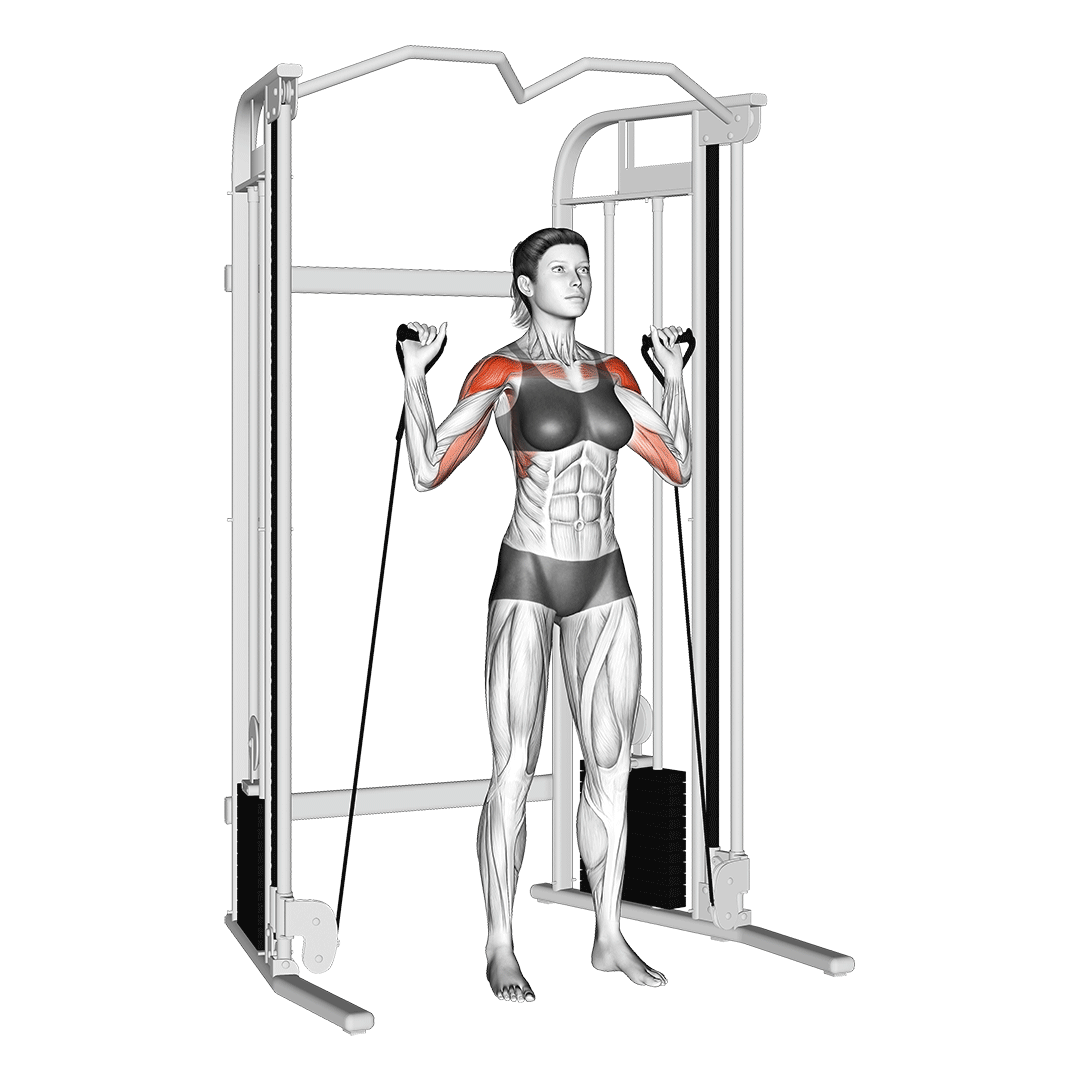 cable shoulder press