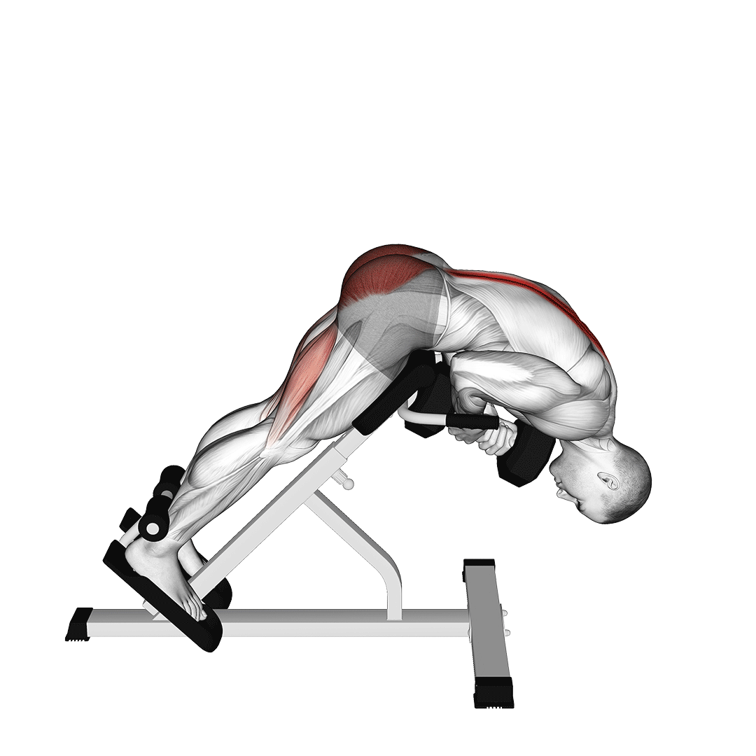 dumbbell back extension
