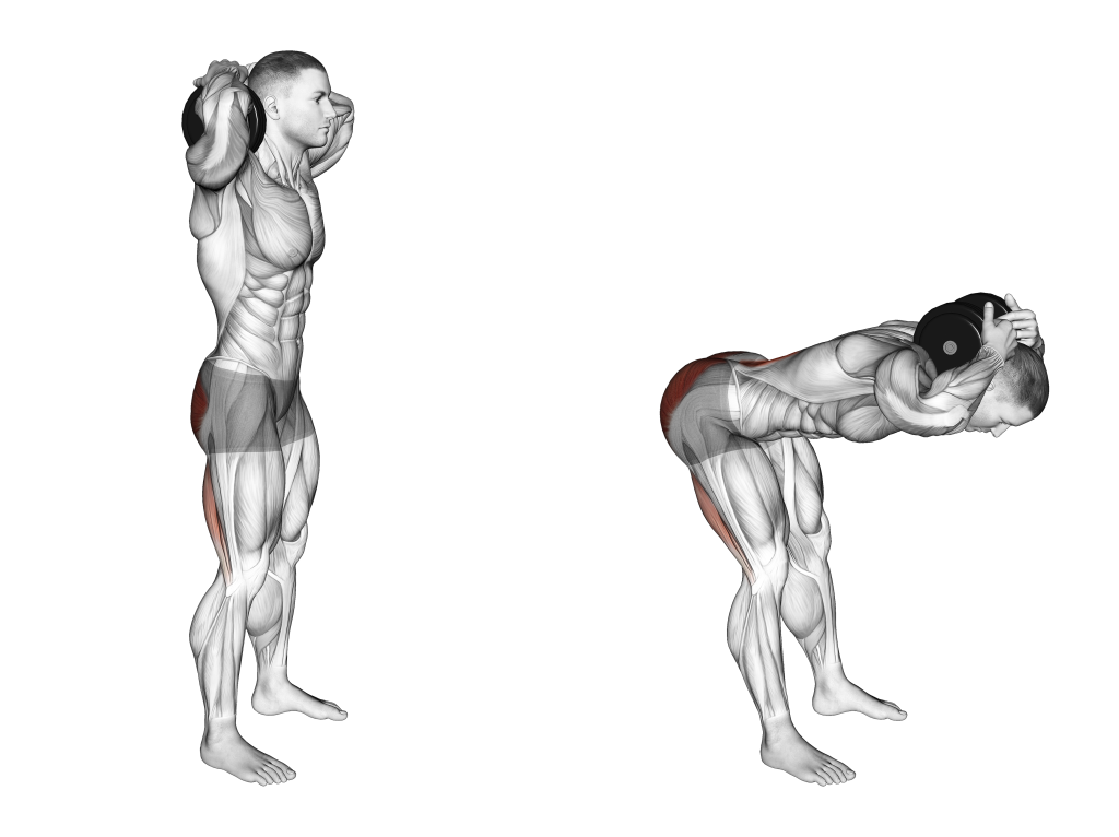 dumbbell good morning muscles