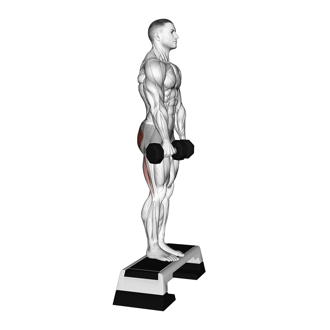 dumbbell jefferson curl