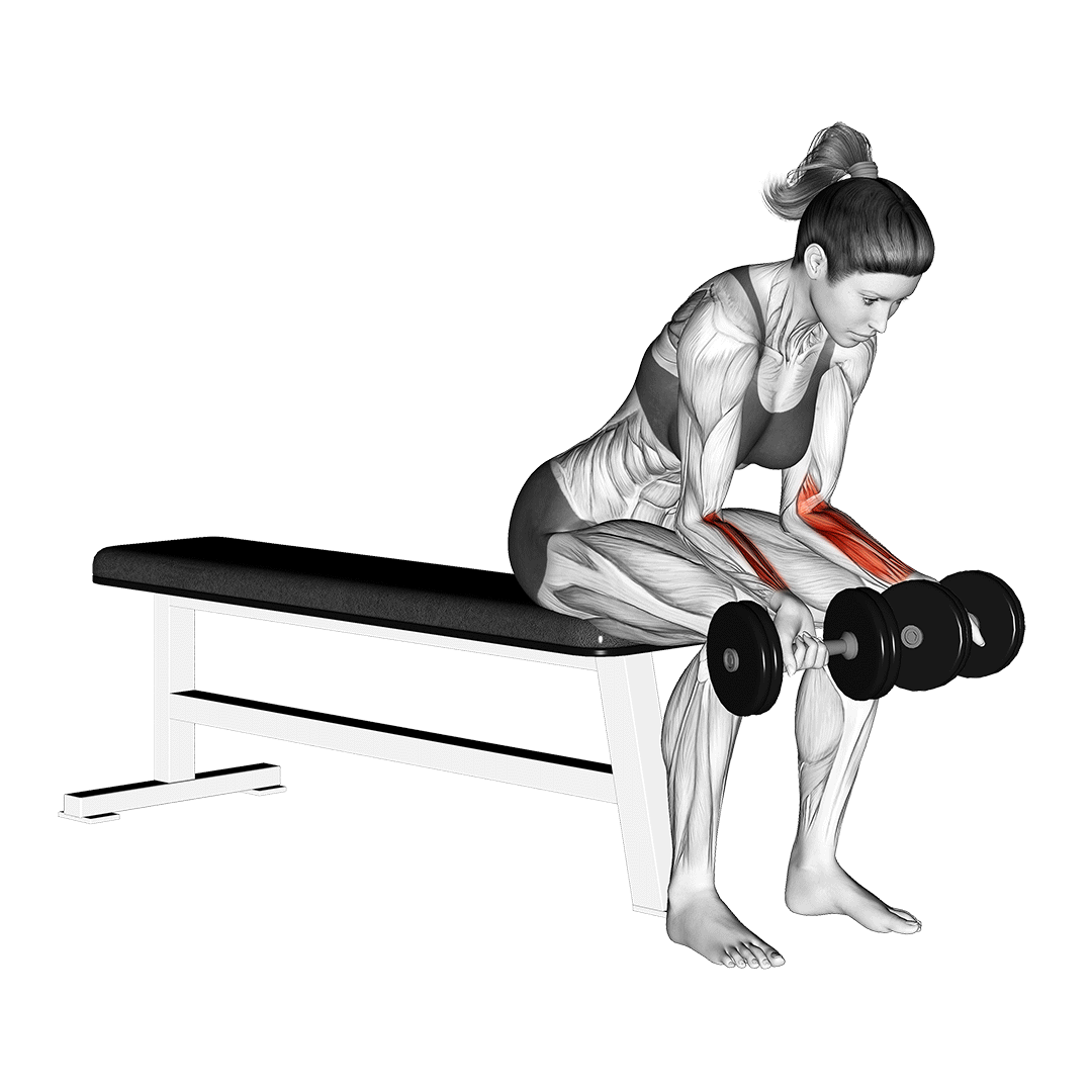 dumbbell wrist curl