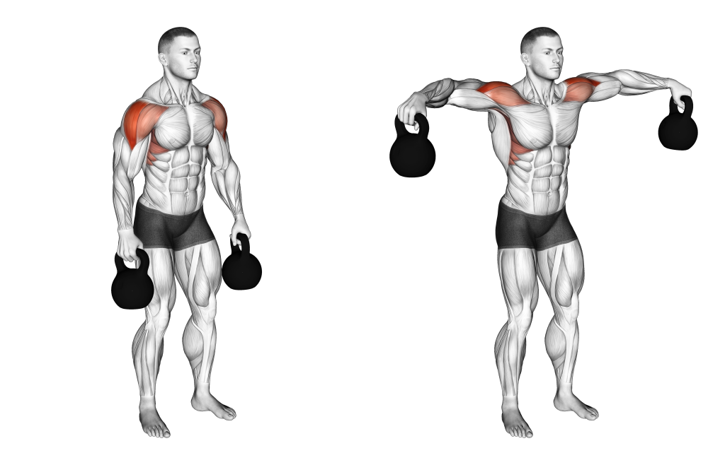 kettlebell lateral raise muscles