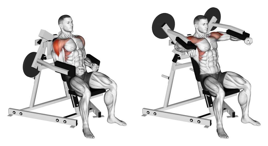 lateral raise machine muscles