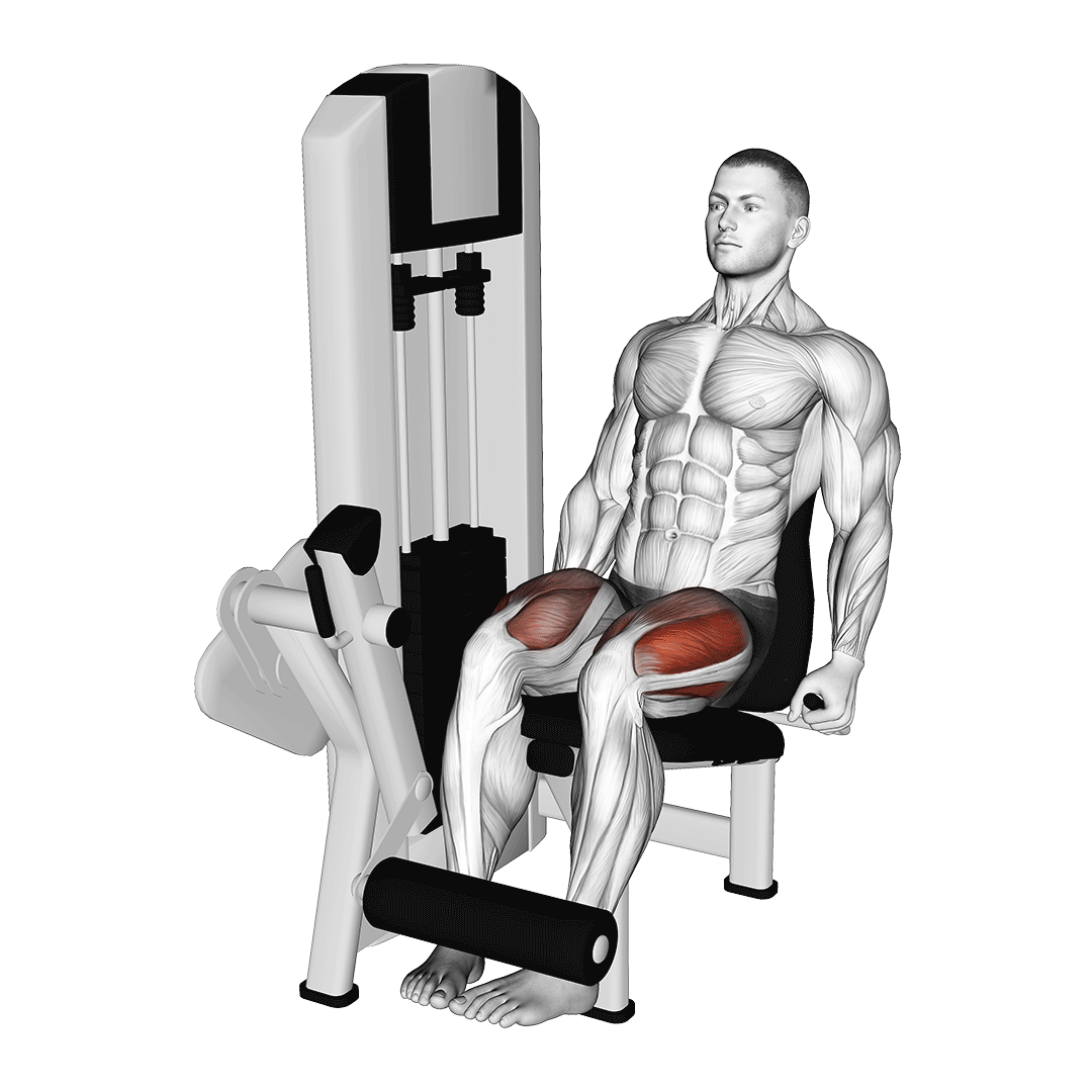 leg extension toes inward