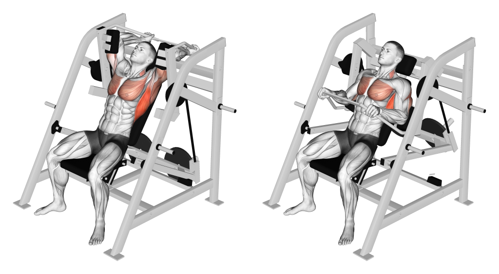 lever pullover machine muscles