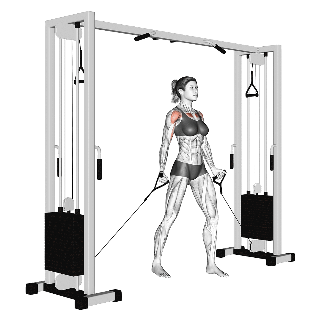 low cable chest flys
