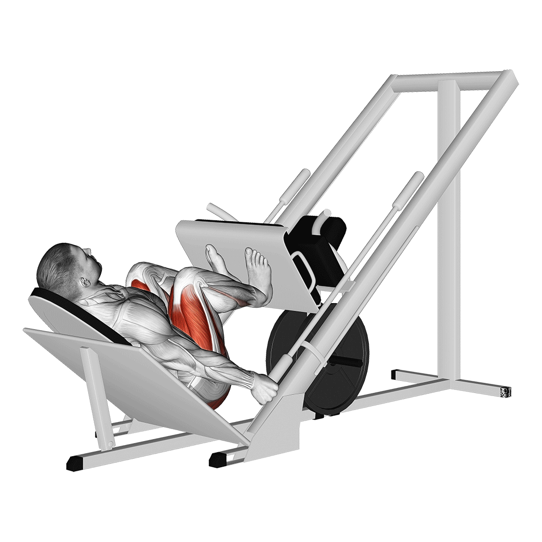 narrow stance leg press