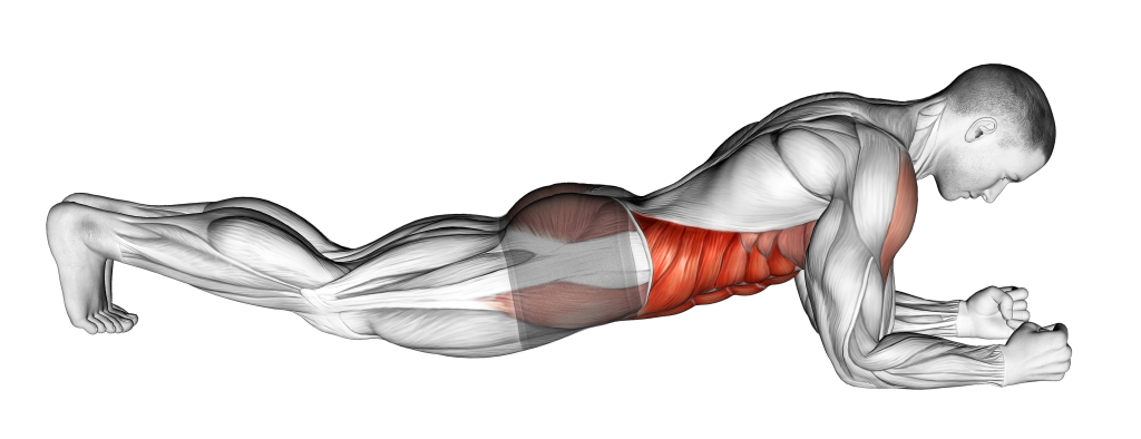 plank sagging hips and torso