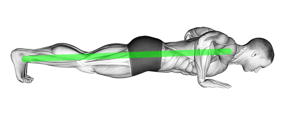 push up side view correct form