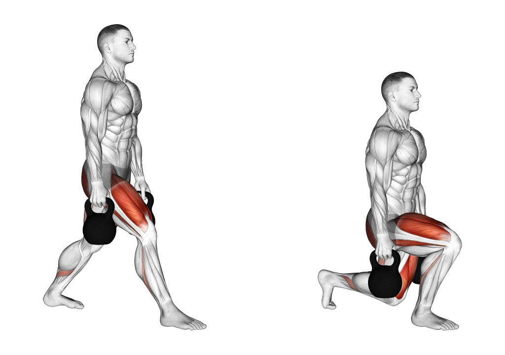 split squat muscles