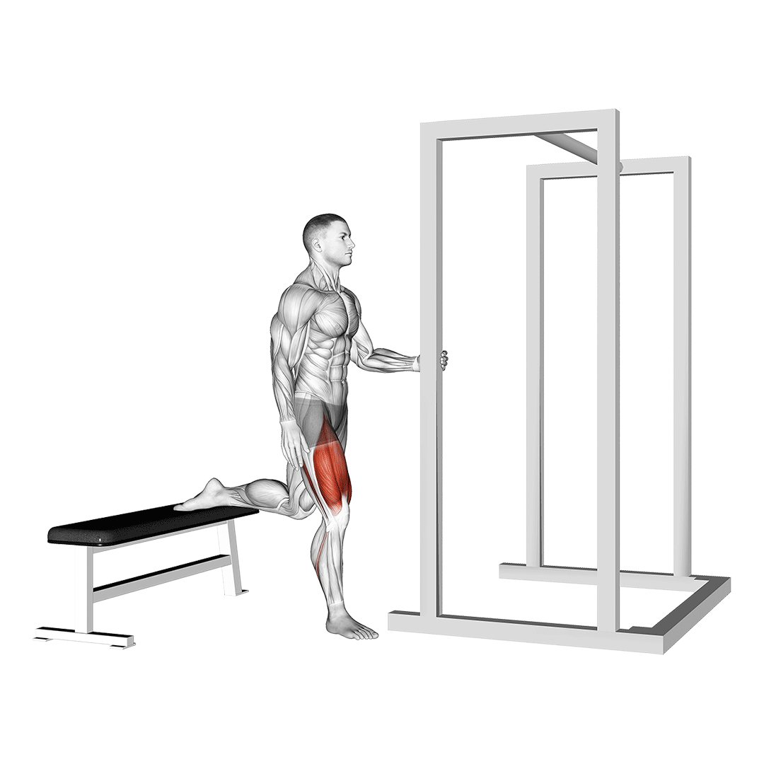 assisted bulgarian split squat