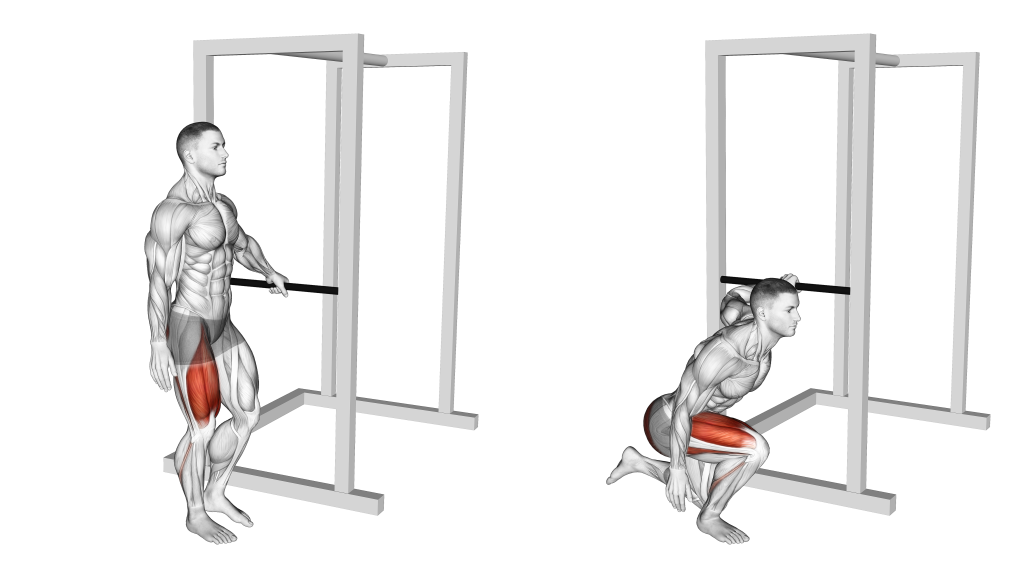 assisted single leg squat muscles