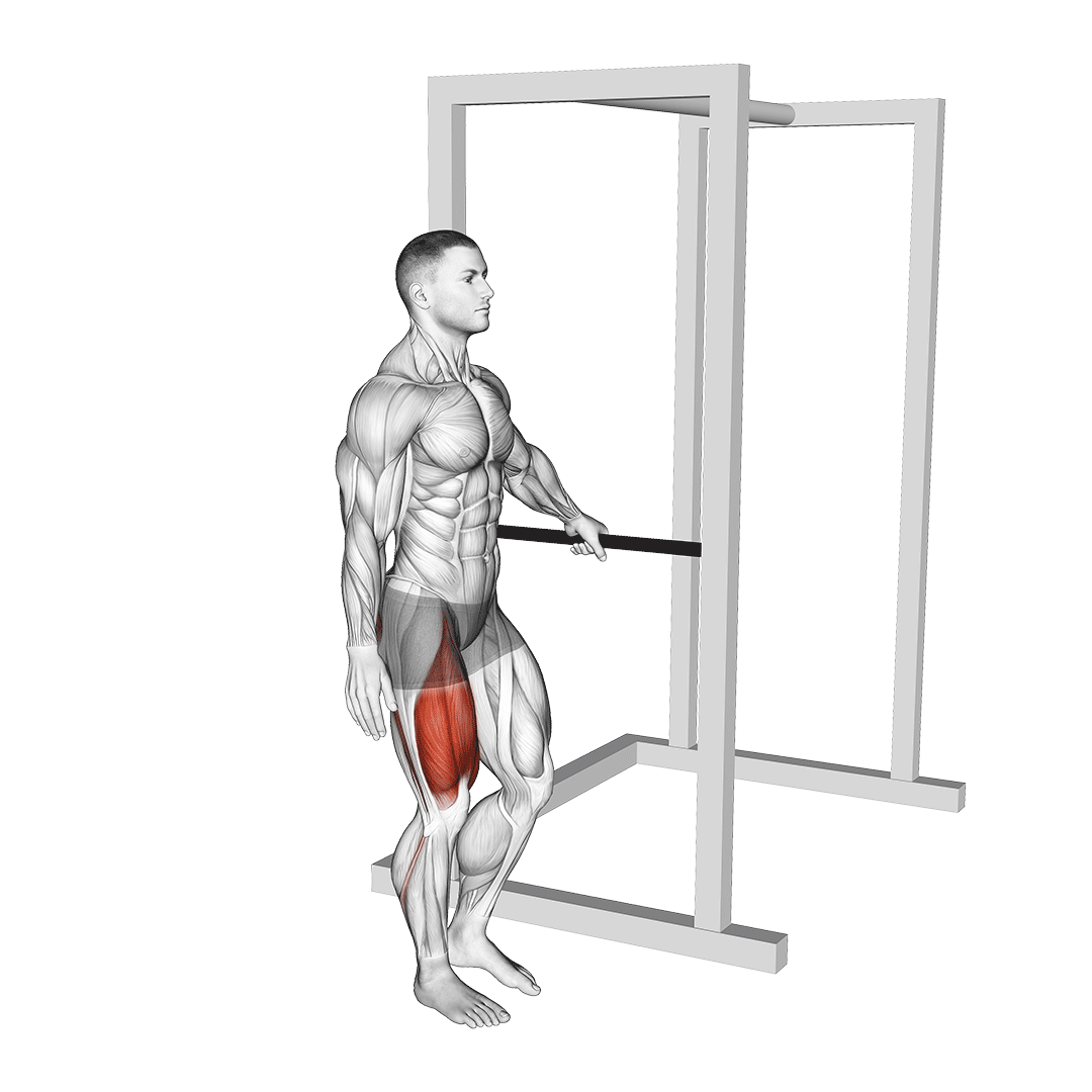 assisted single leg squat