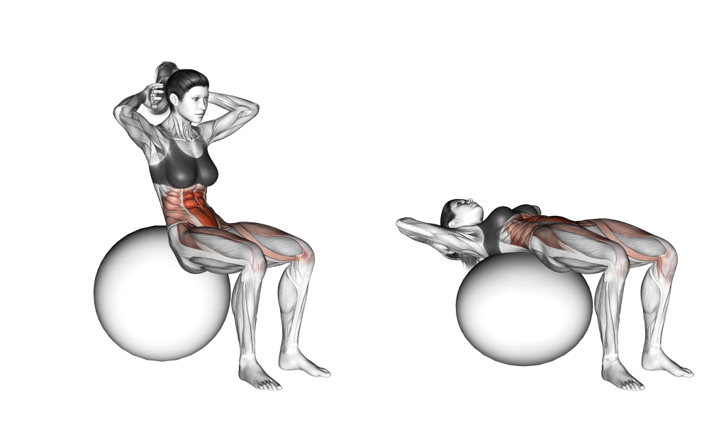 ball sit up muscles