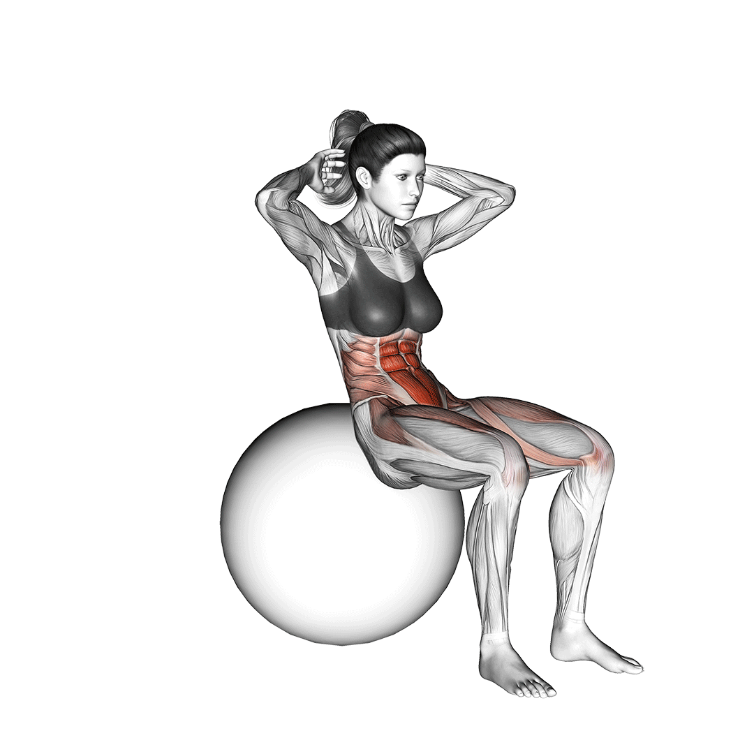 ball sit up