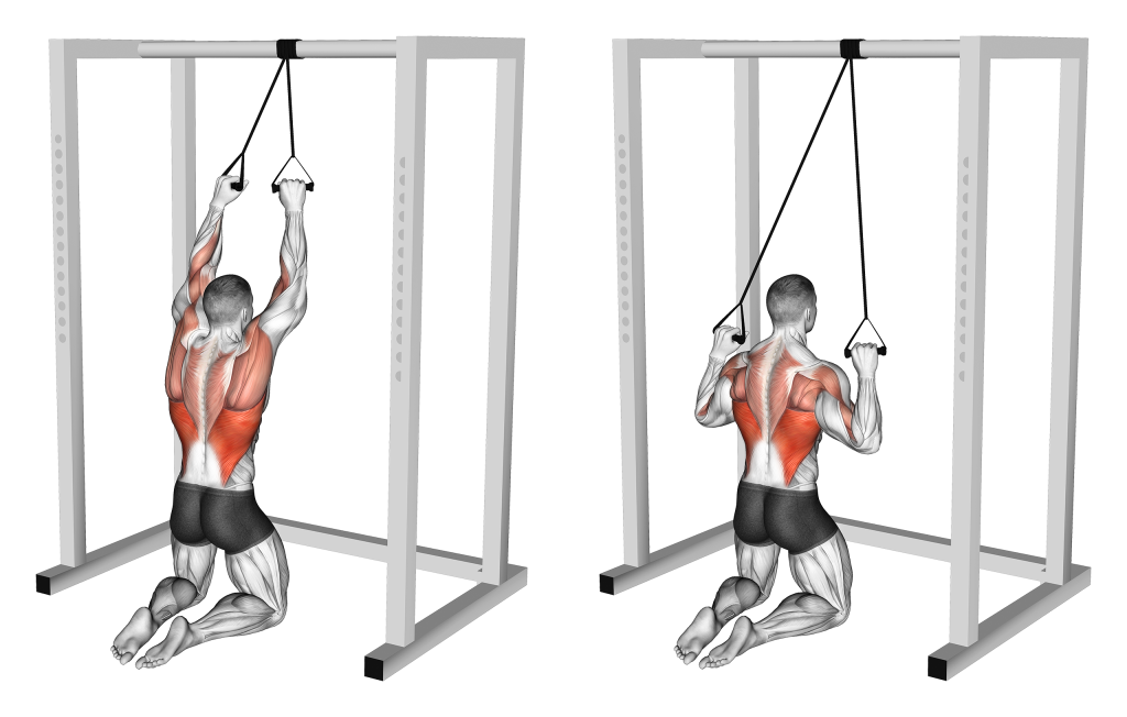 band lat pulldown muscles