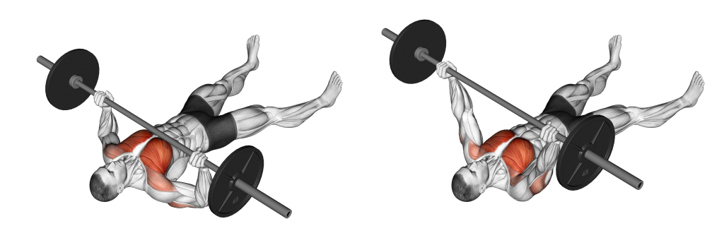 barbell floor press muscles