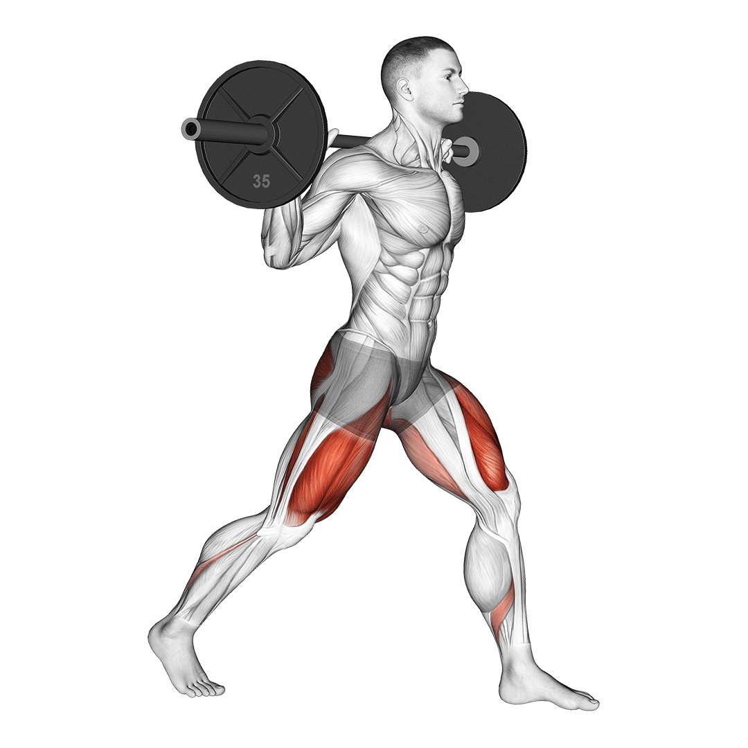 barbell split squat