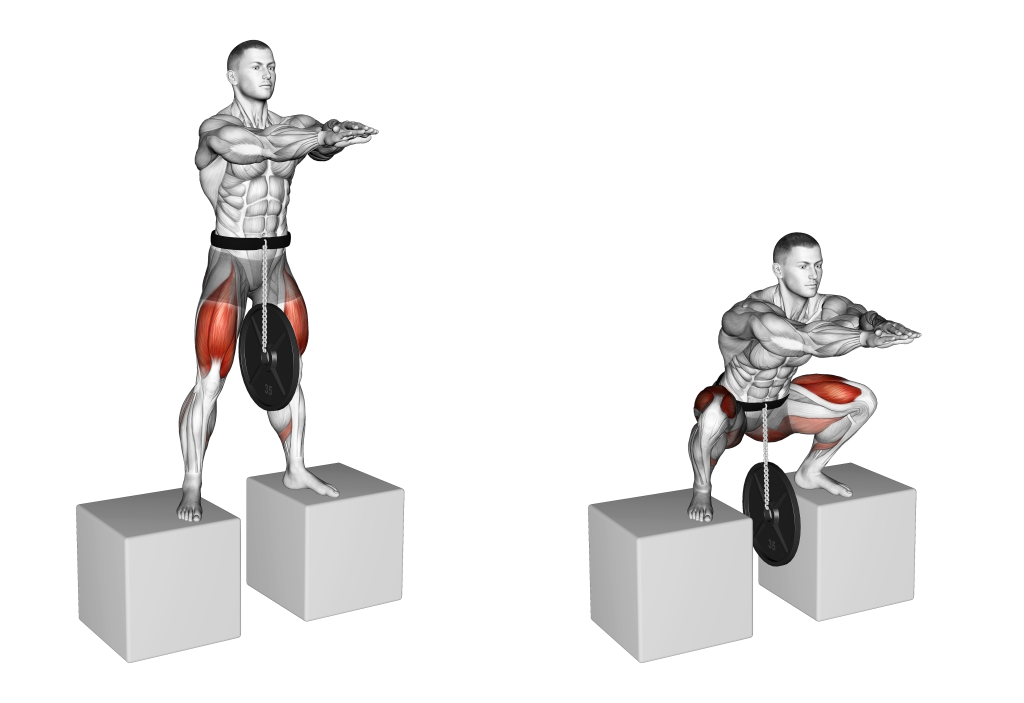 belt squat between boxes muscles used