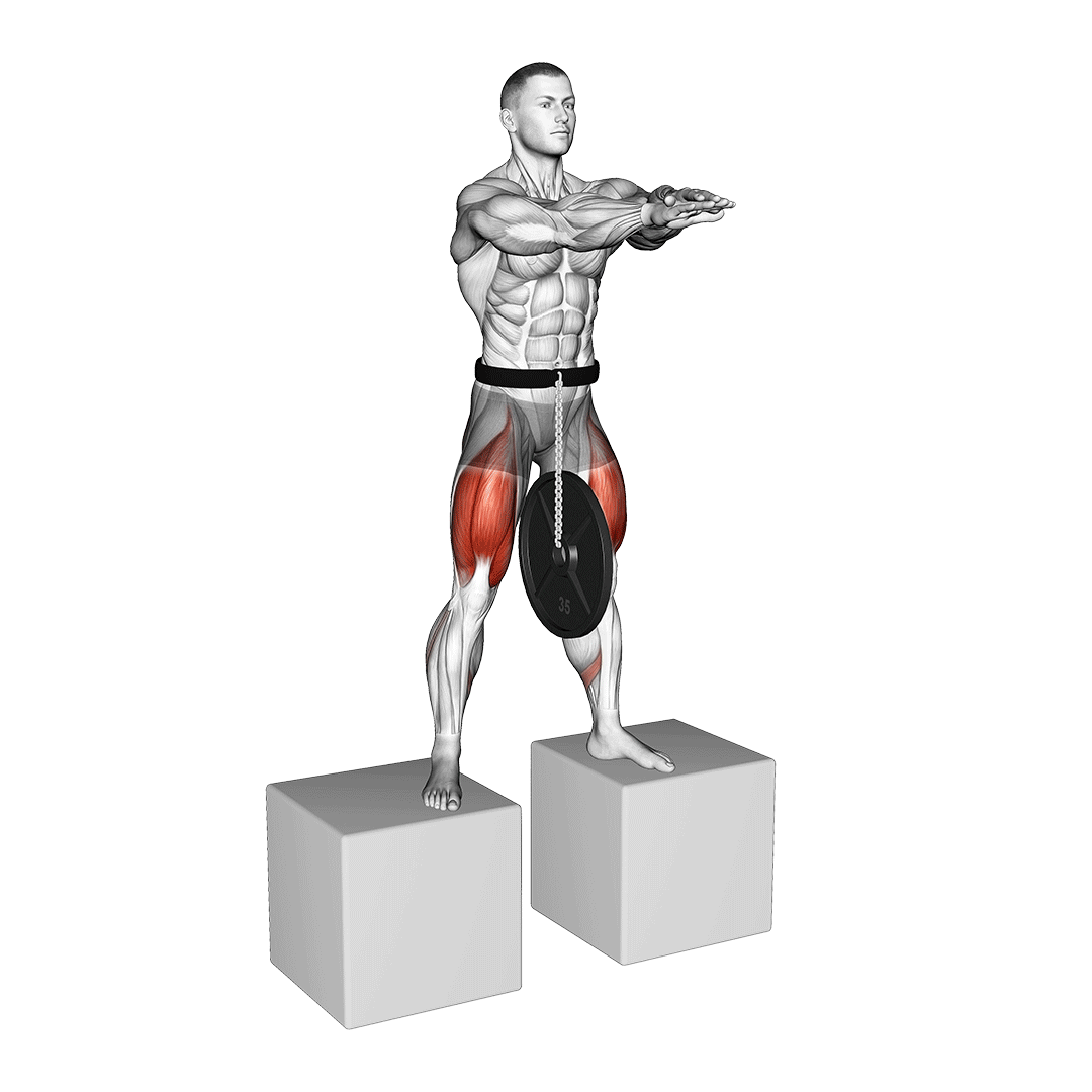 belt squat between boxes