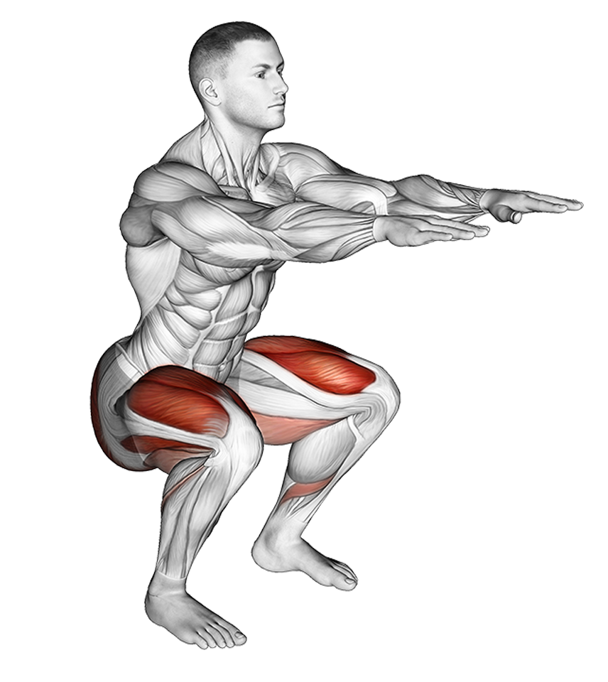 bodyweight squat example