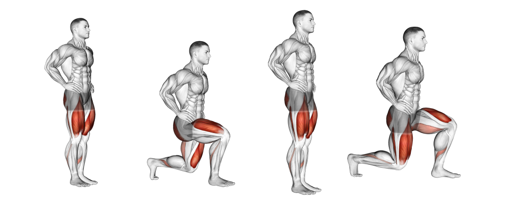 bodyweight walking lunge muscles
