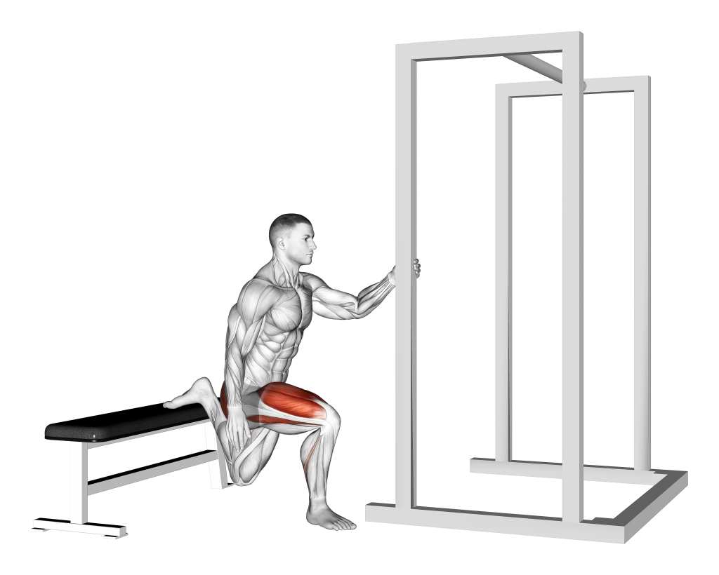 bulgarian split squat example