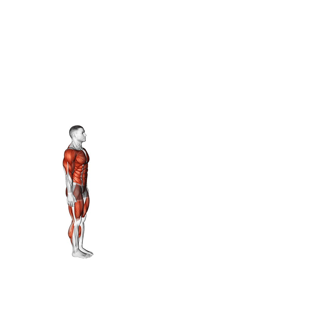burpee long jump