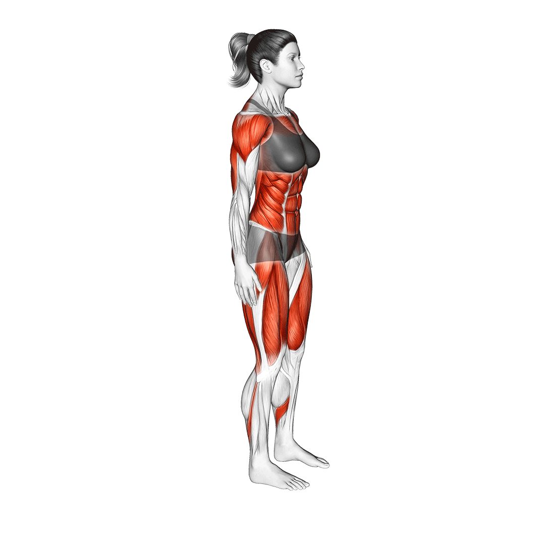 burpee mountain climber