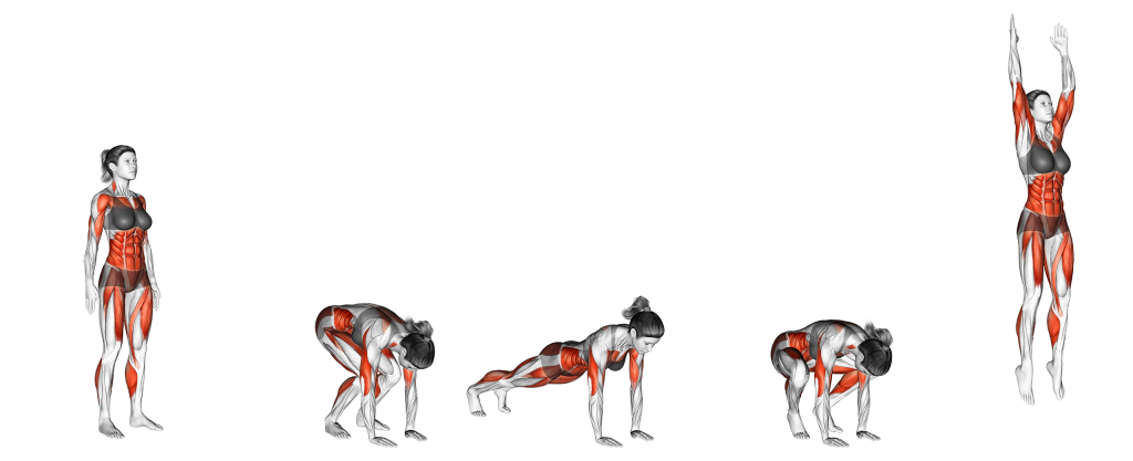 burpee muscles