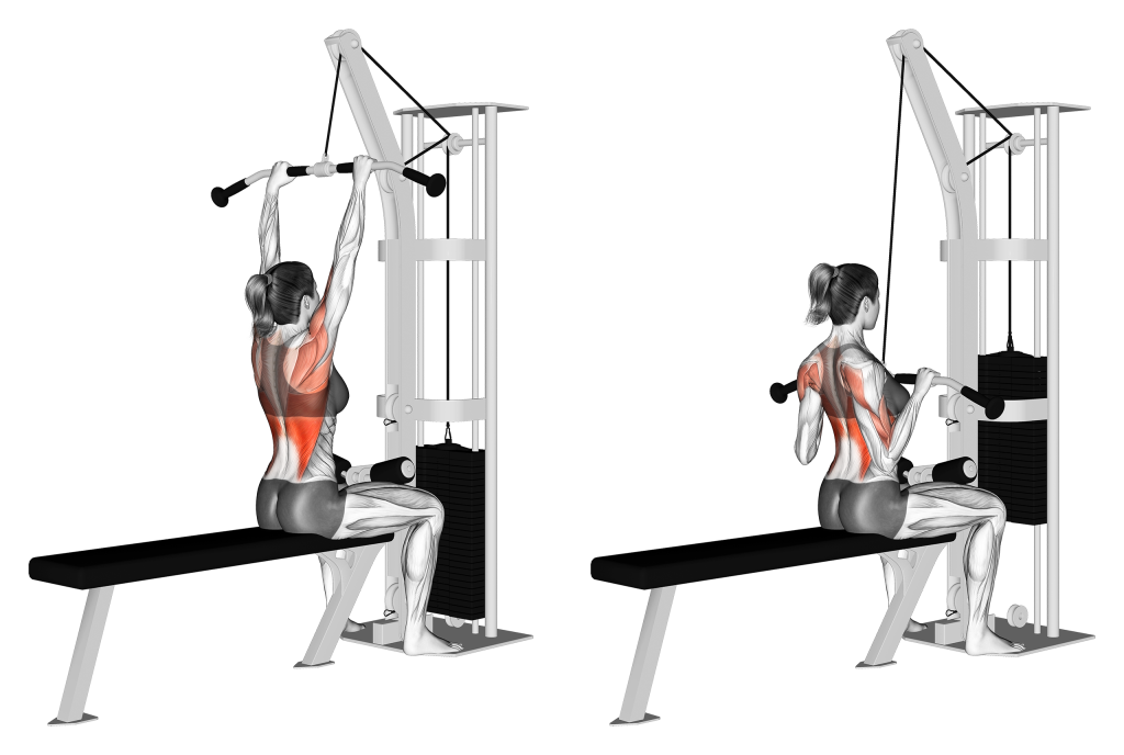 cable lat pulldown muscles