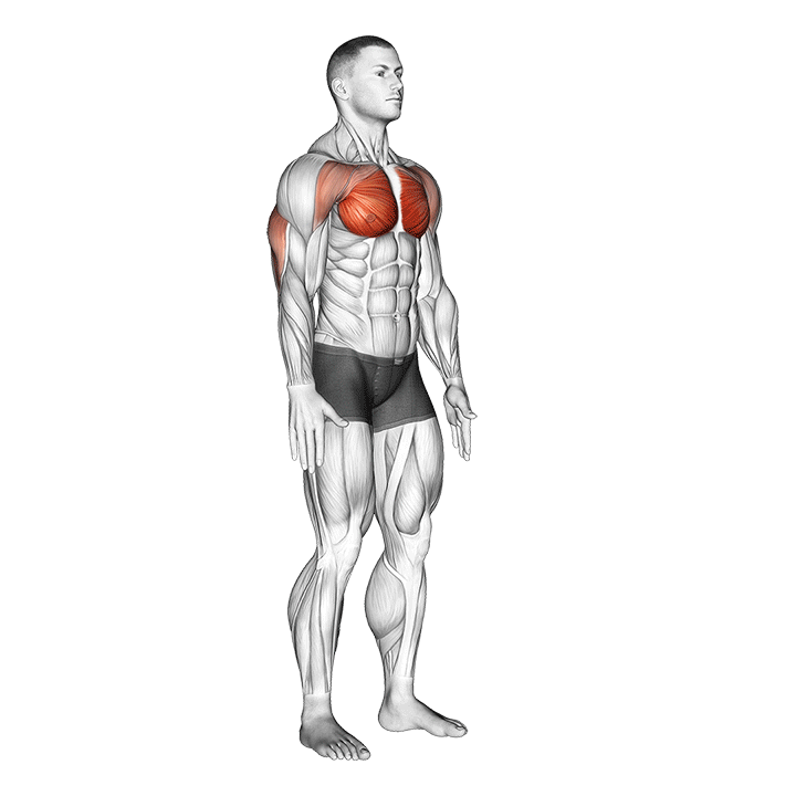 chest squeeze